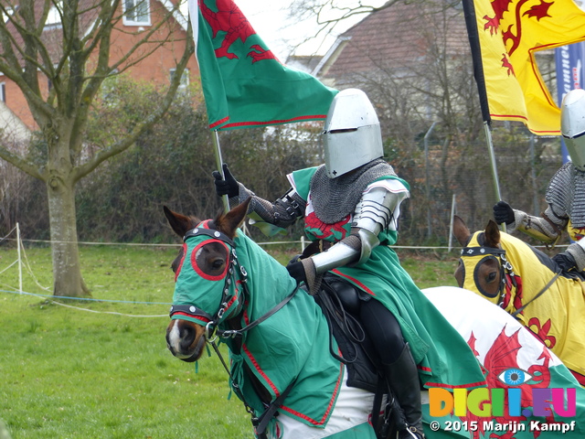 FZ013084 Welsh knight